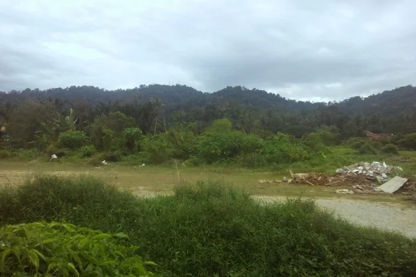 Bukit Derdap