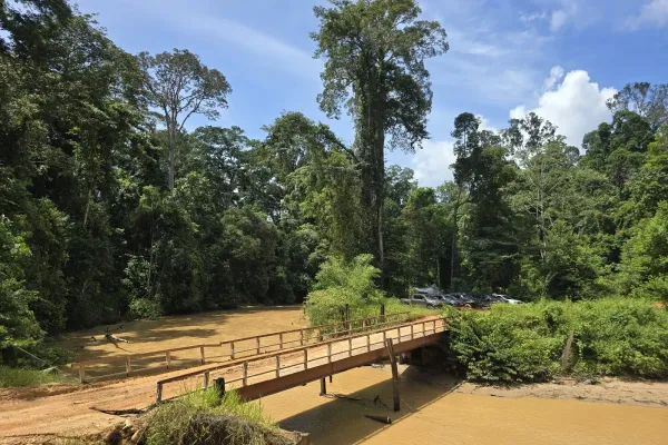 Lipat Sanggol