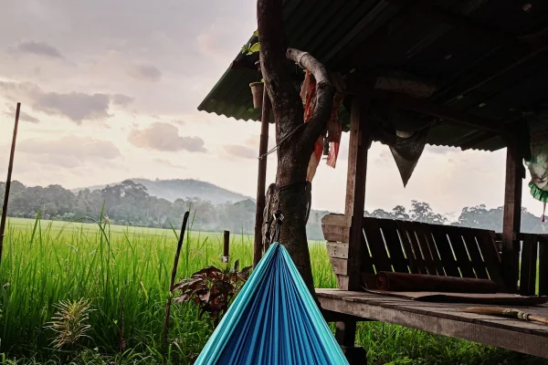 Sumber: Google Places (©2026) #3