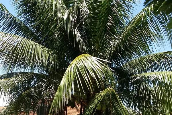 Pusat Riadah Jitra