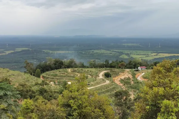 Kebun Durian Damai