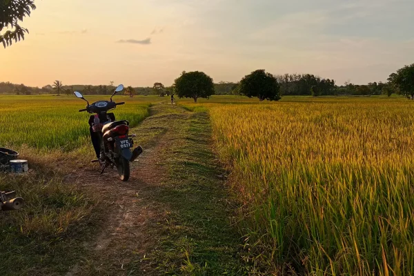 Taman Rekreasi Bendang Rumput Panjang