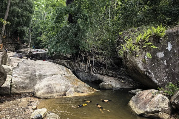 Hutan Lipur Puncak Janing