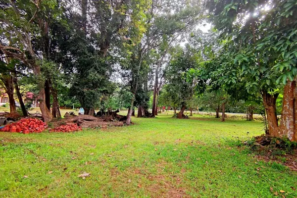 Sumber: Google Places (©2026) #3