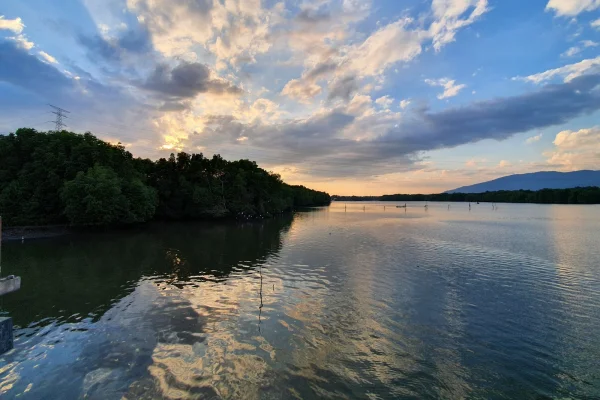 Hutan Simpanan Bakau Sungai Merbok
