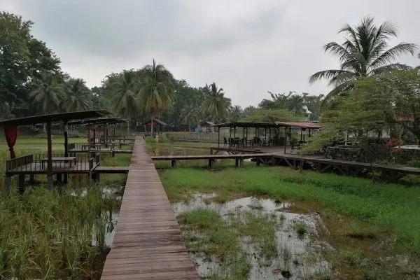 Laman Padi Langkawi