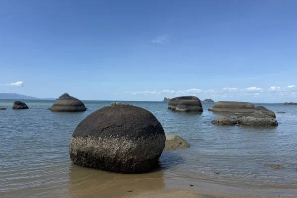 Pantai Wild Beach