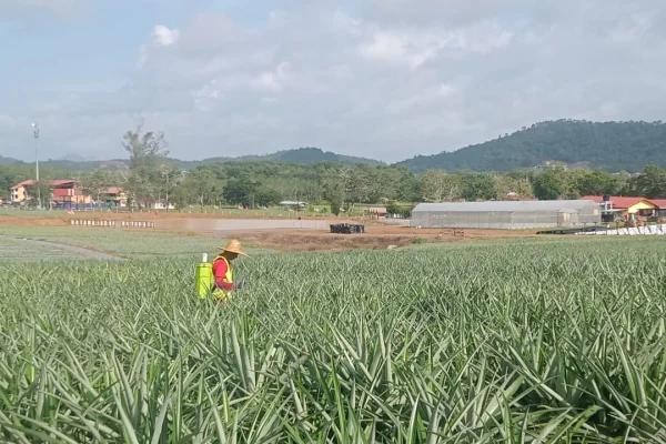 Sumber: Google Places (©2026) #3