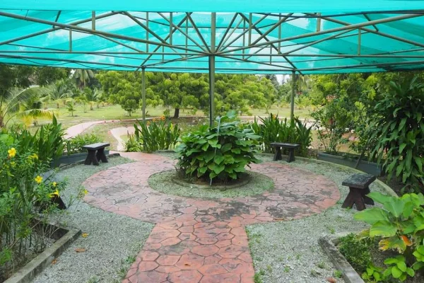 Pusat Agro Padang Matsirat