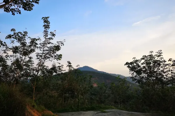 Kebun TY