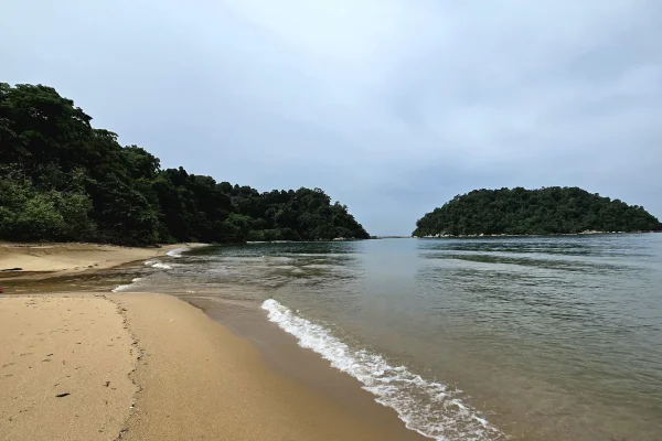 Teluk Nipah