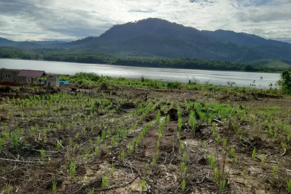 Taman Rekreasi Padi Huma Tasik Beris