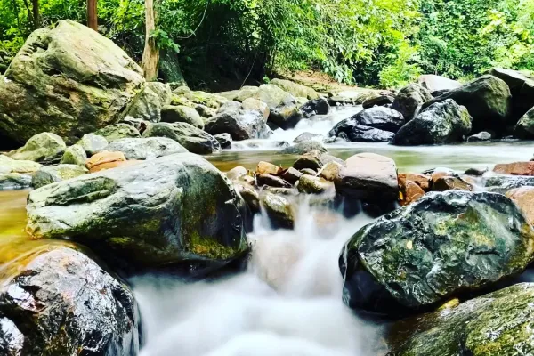 Sumber: Google Places (©2026) #2
