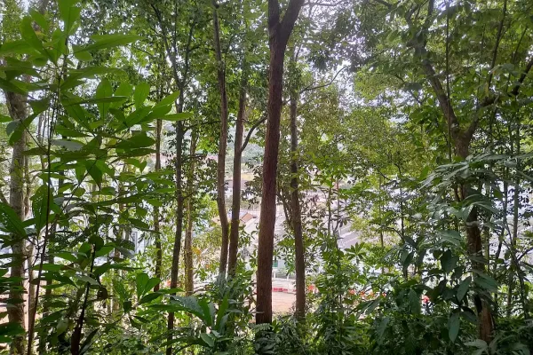 Bukit Darulaman