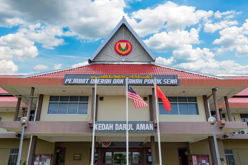 Pokok Sena